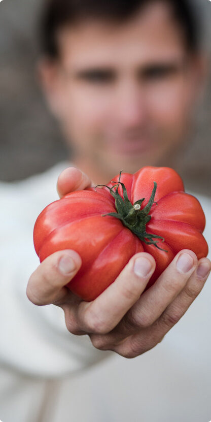 En la imagen con un hombre difuminado que sostiene un tomate Monterosa en su mano. La foto pertenece al enlace origen y proceso de cultivo del tomate Monterosa.