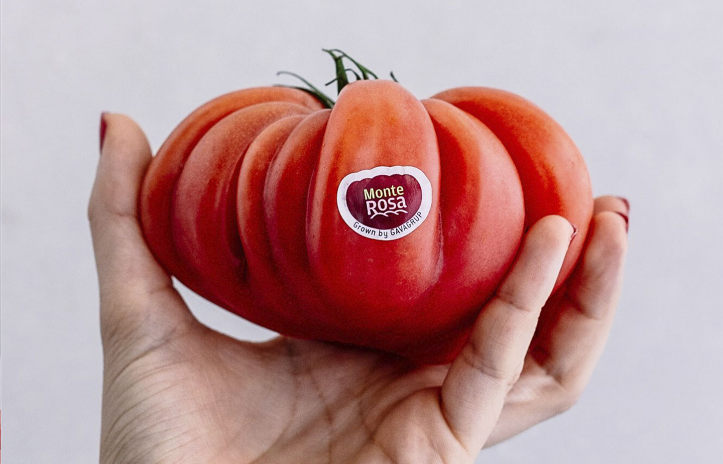 En la imagen una mano sosteniendo un rico y sabroso tomate Monterosa. La chica lleva las uñas rojas a juego con el detalle del tomate.