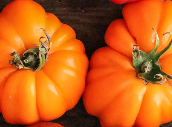 tomate monterosa naranja