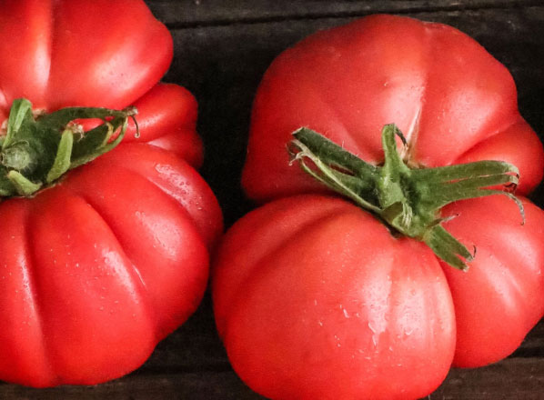 Monterosa Collection Rosa. Una colección de tomates llena de posibilidades. Foto del tomate hecha desde arriba.