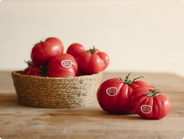 tomate familia monterosa