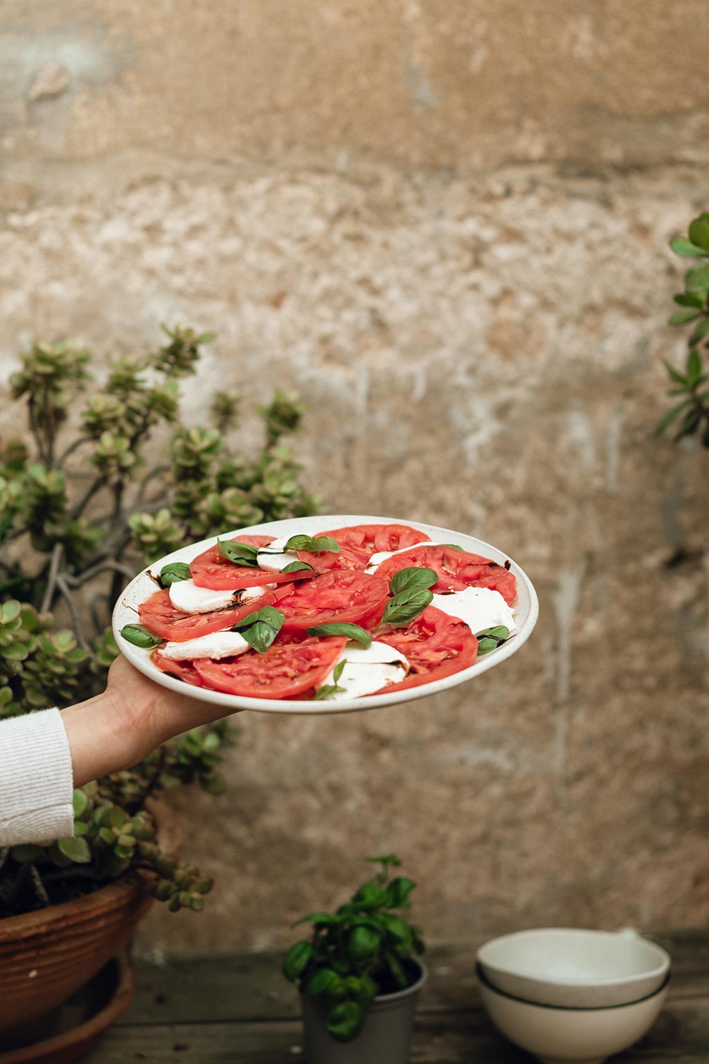 carpaccio mozzarella monterosa